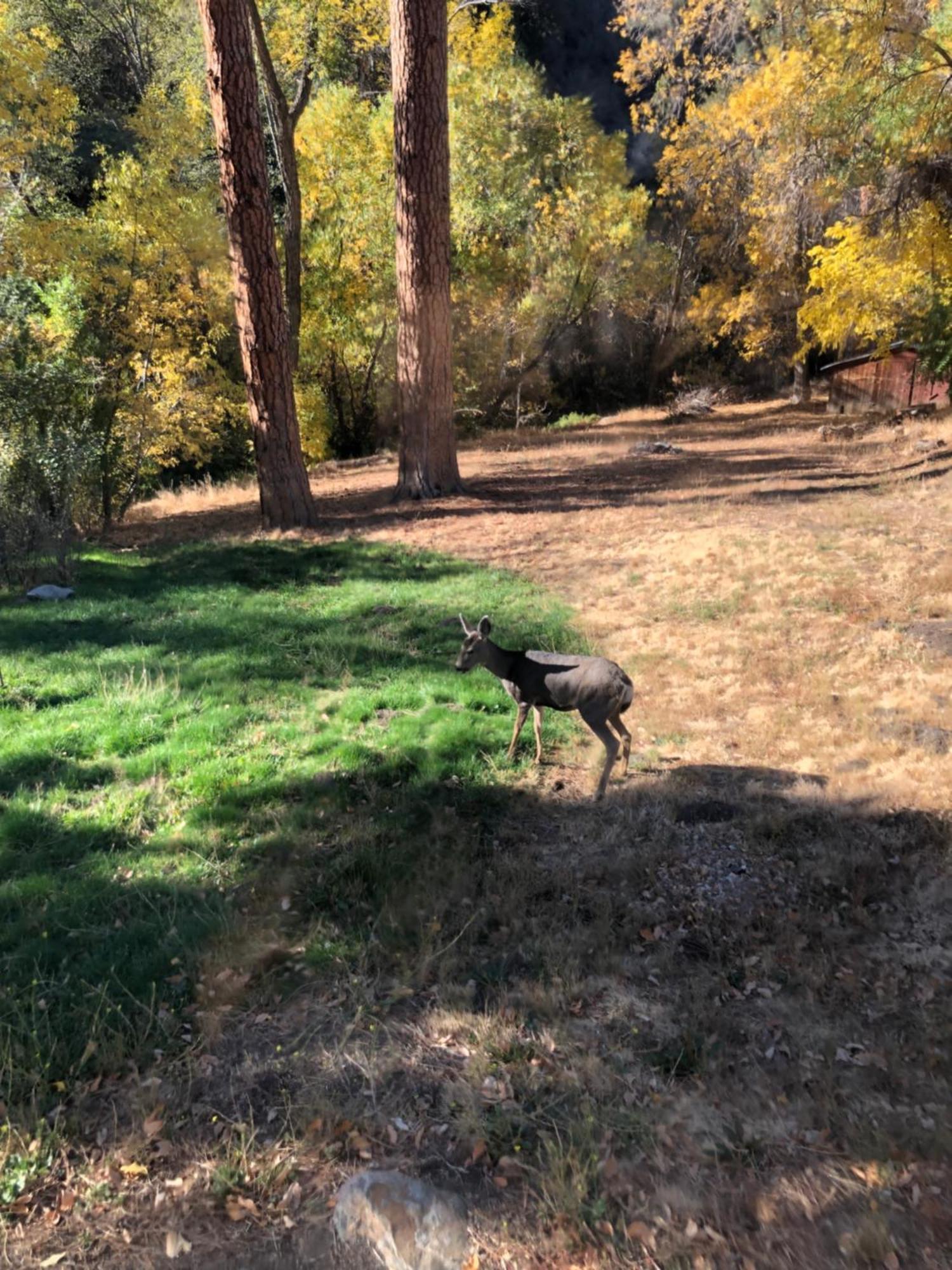 Quiet Mind Lodge, Spa & Retreat Sequoias Kernville Luaran gambar