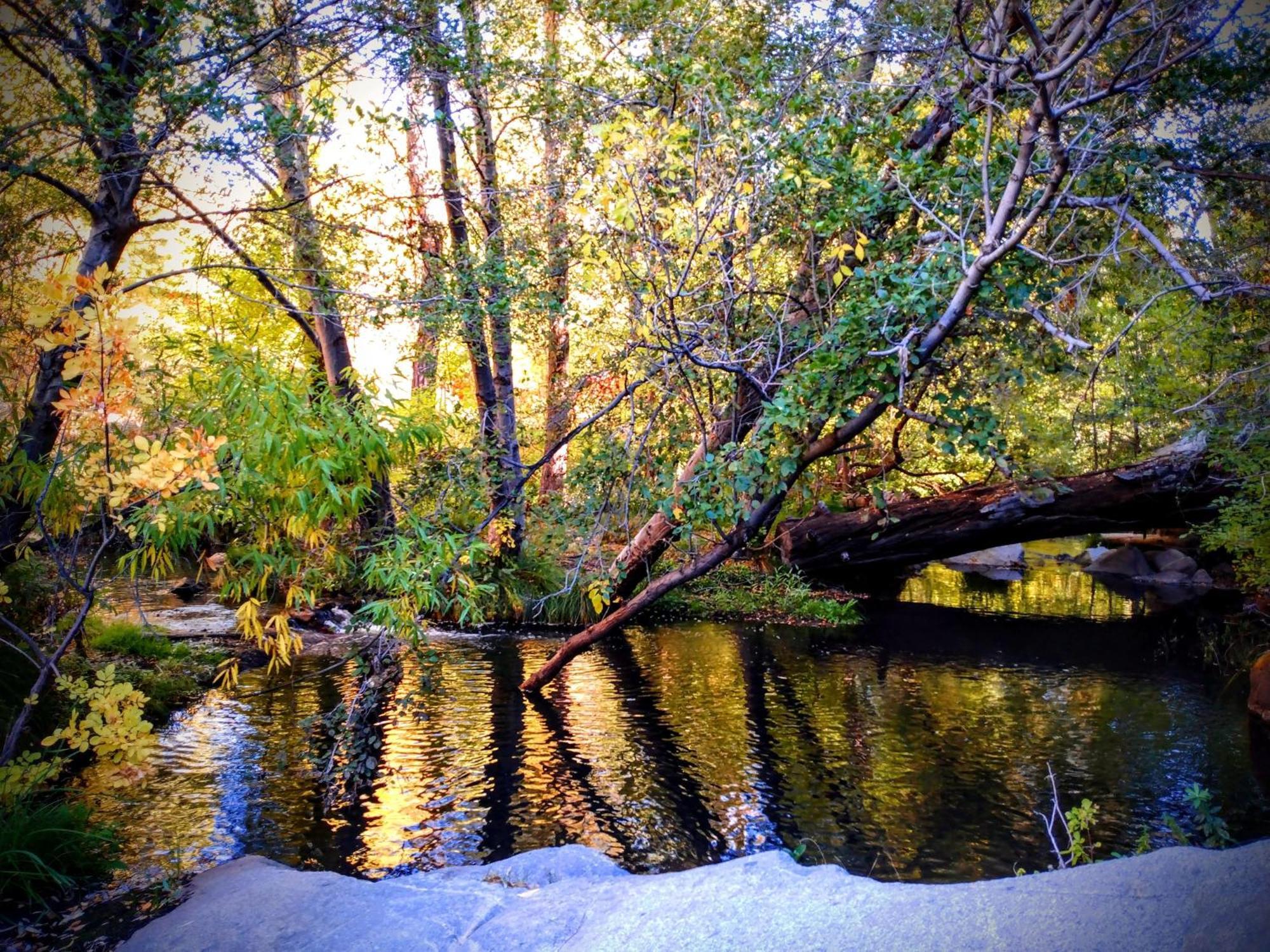 Quiet Mind Lodge, Spa & Retreat Sequoias Kernville Luaran gambar