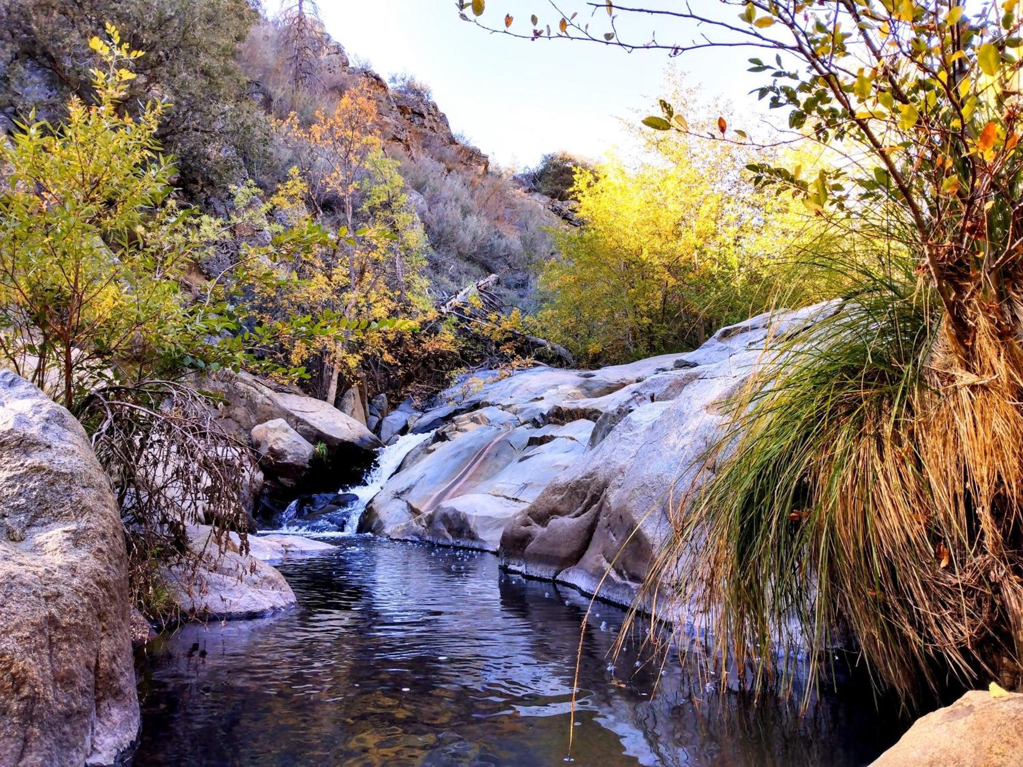 Quiet Mind Lodge, Spa & Retreat Sequoias Kernville Luaran gambar